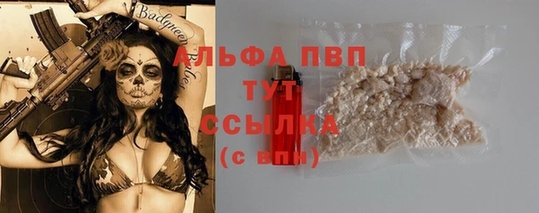 крисы Белокуриха