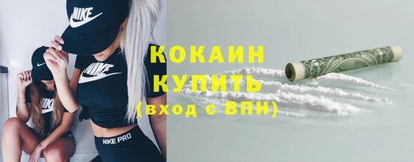 крисы Белокуриха