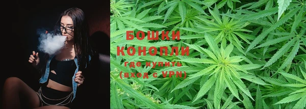 крисы Белокуриха